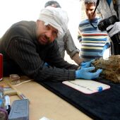 excavaciones en el proyecto Djehuty en Luxor 