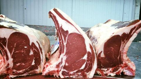 carne