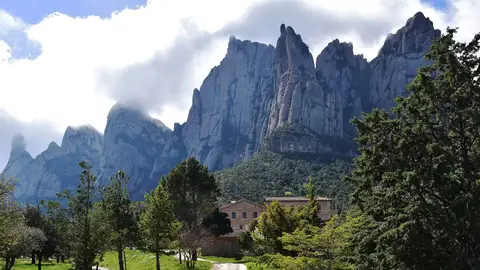 La sequia rompe dos anos de bonanza en los bosques catalanes La sequia rompe dos anos de bonanza en los bosques catalanes