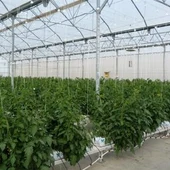 Noticia Agrícola El Ejido Noticia Agrícola El Ejido
