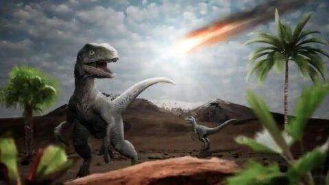 Dinosaurios