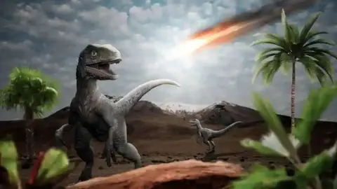 Dinosaurios Dinosaurios