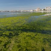 El TSJ obliga a la Comunidad a exigir responsabilidad medioambiental a explotaciones agrícolas por vertidos al Mar Menor