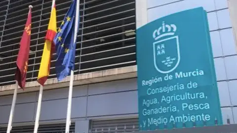 La CARM iniciará en breve expediente de responsabilidad ambiental contra ocho empresas por contaminar el Mar Menor La CARM iniciará en breve expediente de responsabilidad ambiental contra ocho empresas por contaminar el Mar Menor
