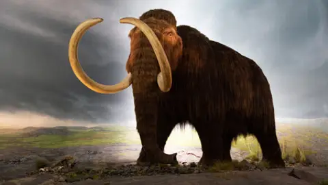 Mamut Mamut
