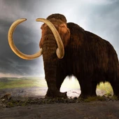 Mamut Mamut