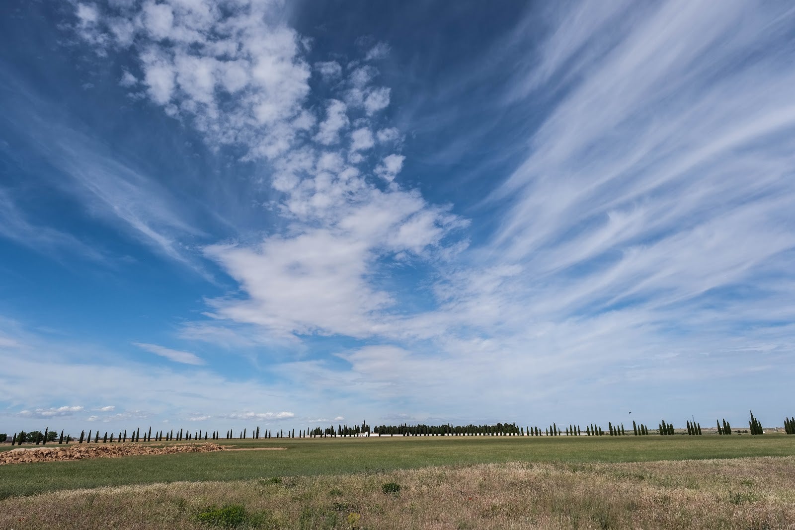 Nuevos trabajos de exhumación de represaliados en Manzanares Nuevos trabajos de exhumación de represaliados en Manzanares