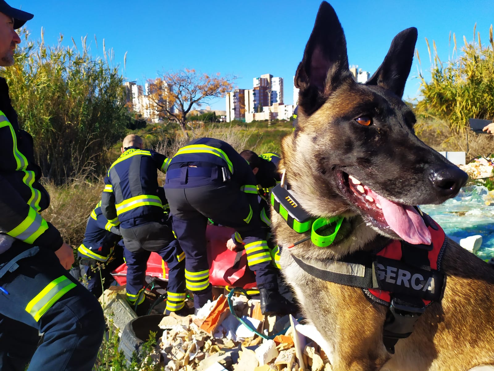 Los bomberos de Alicante homenajean a "Piba" por su carrera en la Unidad Canina Los bomberos de Alicante homenajean a "Piba" por su carrera en la Unidad Canina