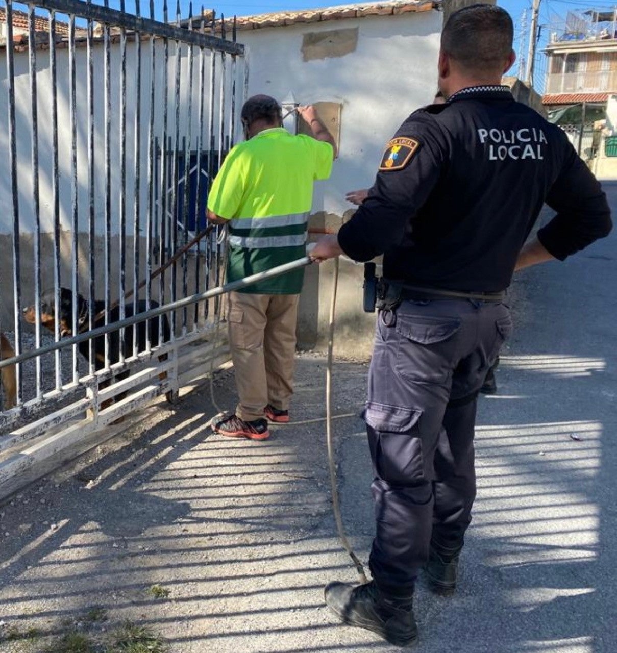 La Policía Local de Elche rescata a cuatro perros que estaban desatendidos en una vivienda deshabitada de la partida de Altabix La Policía Local de Elche rescata a cuatro perros que estaban desatendidos en una vivienda deshabitada de la partida de Altabix