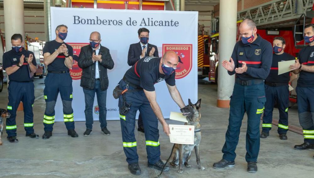 El alcalde de Alicante preside el homenaje a &quot;Piba&quot; por su acción