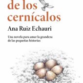Ana Ruiz Echauri