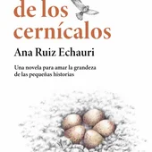 Ana Ruiz Echauri Ana Ruiz Echauri
