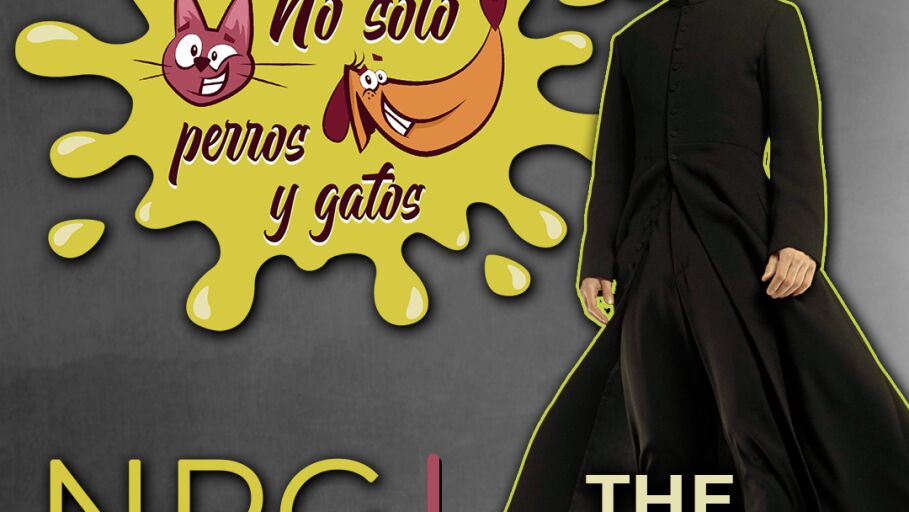 No Solo Perros y Gatos T03xE11: The Sumatrix Resurrections