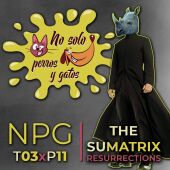 No Solo Perros y Gatos T03xE11: The Sumatrix Resurrections