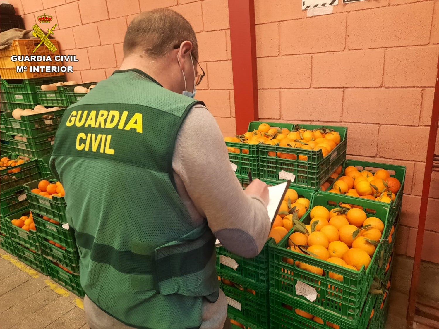 Intervienen en Alicante 20 toneladas de naranjas tratadas con un pesticida prohibido Intervienen en Alicante 20 toneladas de naranjas tratadas con un pesticida prohibido
