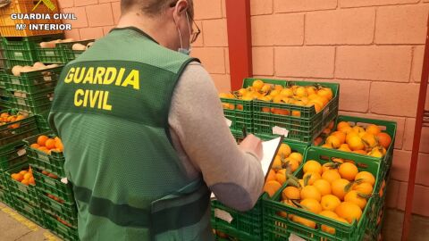 Naranjas tratadas con un producto prohibido
