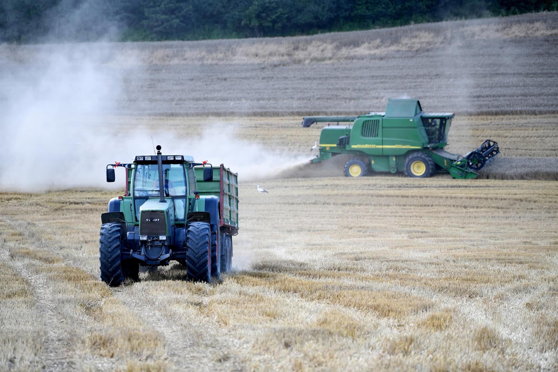 La Consejería de Agricultura abre el plazo para ejercer el voto por correo de las elecciones al campo y fija el procedimiento La Consejería de Agricultura abre el plazo para ejercer el voto por correo de las elecciones al campo y fija el procedimiento