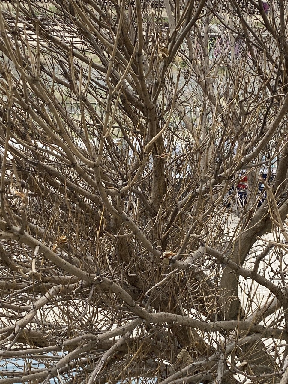 Rachas de viento de hasta 70 km/h dejan decenas de desprendimientos y caída de árboles en Cuenca Rachas de viento de hasta 70 km/h dejan decenas de desprendimientos y caída de árboles en Cuenca