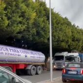 Decenas de transportistas han colapsado el Paseo Marítimo de Palma desde primera hora de la mañana. 