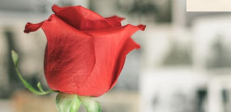 El colectivu Les Ablanes organiza les II Xornaes de Memoria Histórica en L'Infiestu los díes 2 y 3 d'abril El colectivu Les Ablanes organiza les II Xornaes de Memoria Histórica en L'Infiestu los díes 2 y 3 d'abril