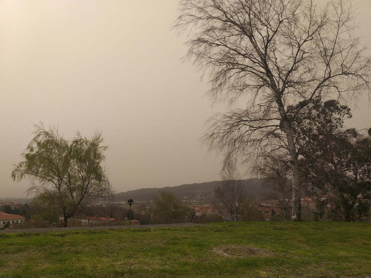 La calima agrava la sequía en el campo La calima agrava la sequía en el campo