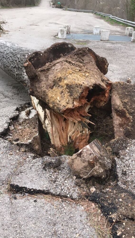 Acceso a la zona de "La Playa"