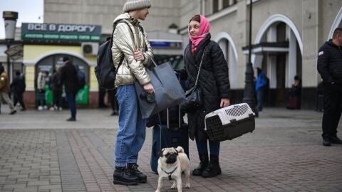 canino adiestramiento
