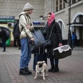 Ángel Osuna, adiestrador canino "durante la calima reducir los paseos con nuestro perro" 