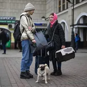 Ángel Osuna, adiestrador canino "durante la calima reducir los paseos con nuestro perro" Ángel Osuna, adiestrador canino "durante la calima reducir los paseos con nuestro perro"