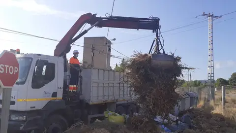 Un camión recoge unos restos de podas en una partida rural de Alicante Un camión recoge unos restos de podas en una partida rural de Alicante