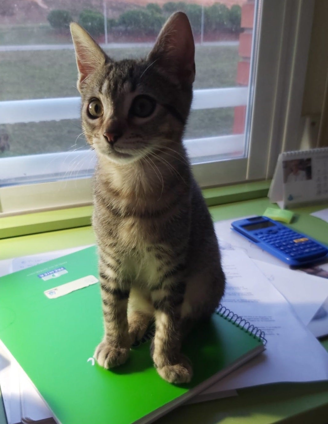 Más de Uno León 15/03/2022 Más de Uno León 15/03/2022