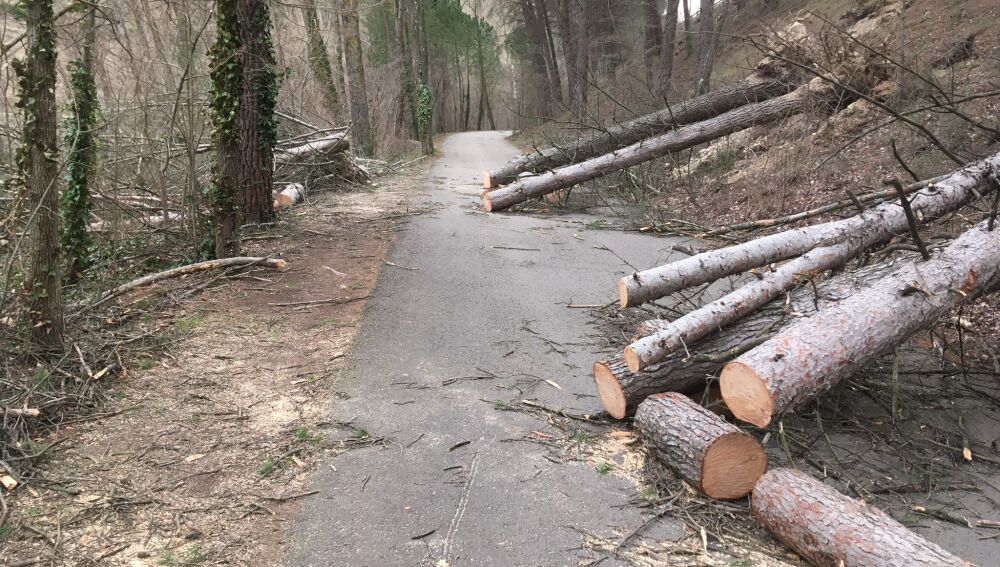 Los bomberos tuvieron que intervenir para despejar la zona en el acceso a "La Playa" 