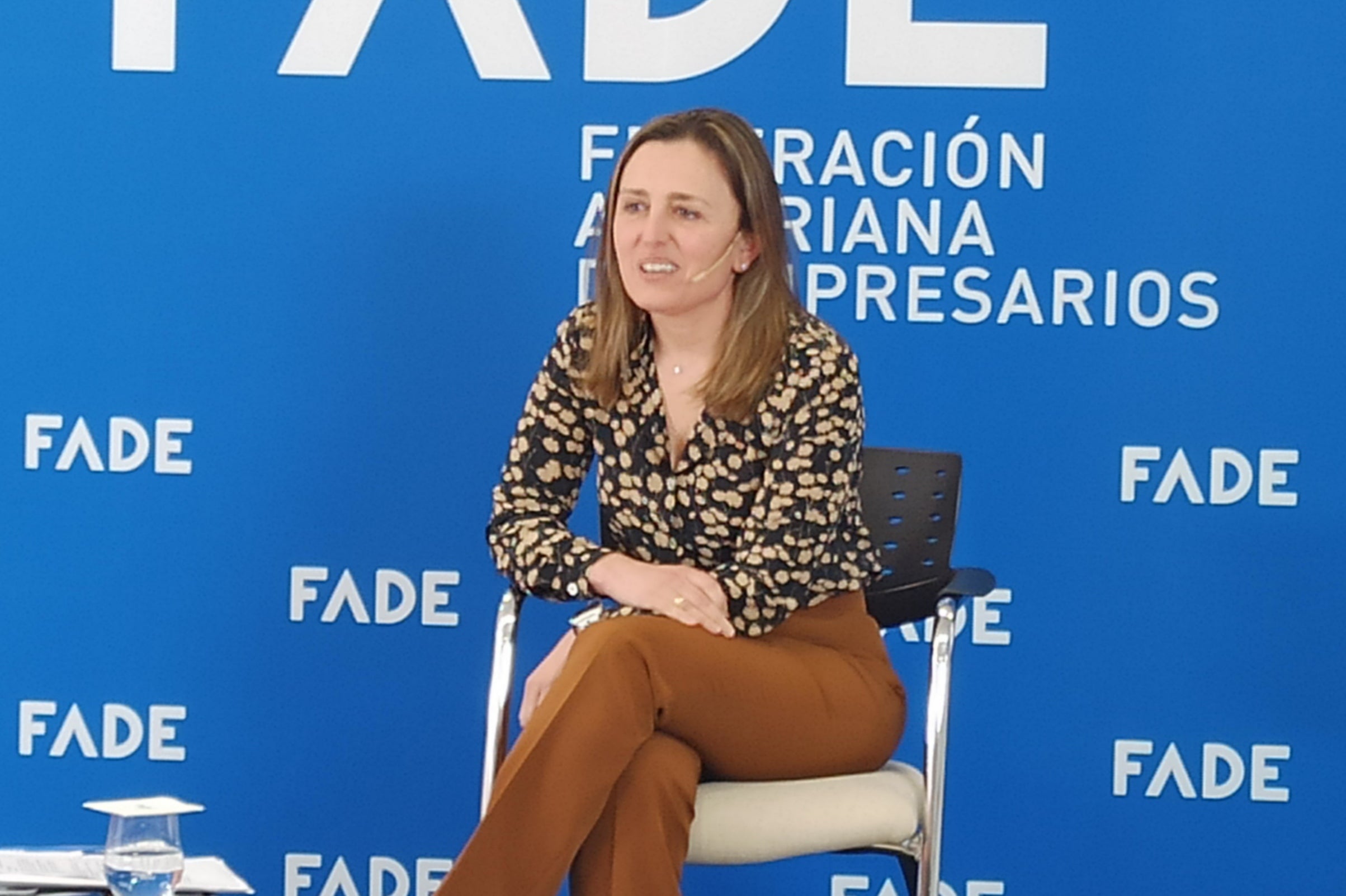 María Calvo (FADE): "temor y preocupación por Arcelor pero hay tiempo para rectificar María Calvo (FADE): "temor y preocupación por Arcelor pero hay tiempo para rectificar