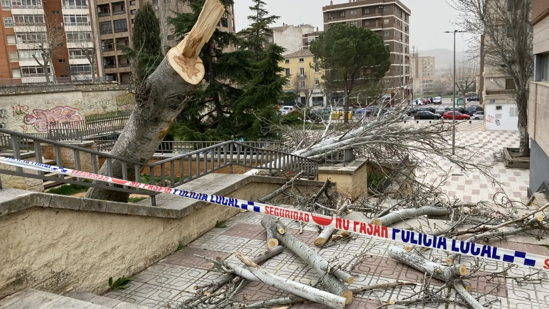 La caída de varios árboles complica uno de los accesos a uno de los colegios de la capital