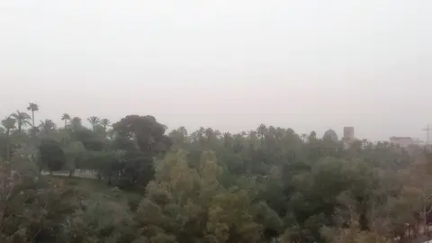 La calima enturbia el cielo en Elche (imagen archivo). La calima enturbia el cielo en Elche (imagen archivo).