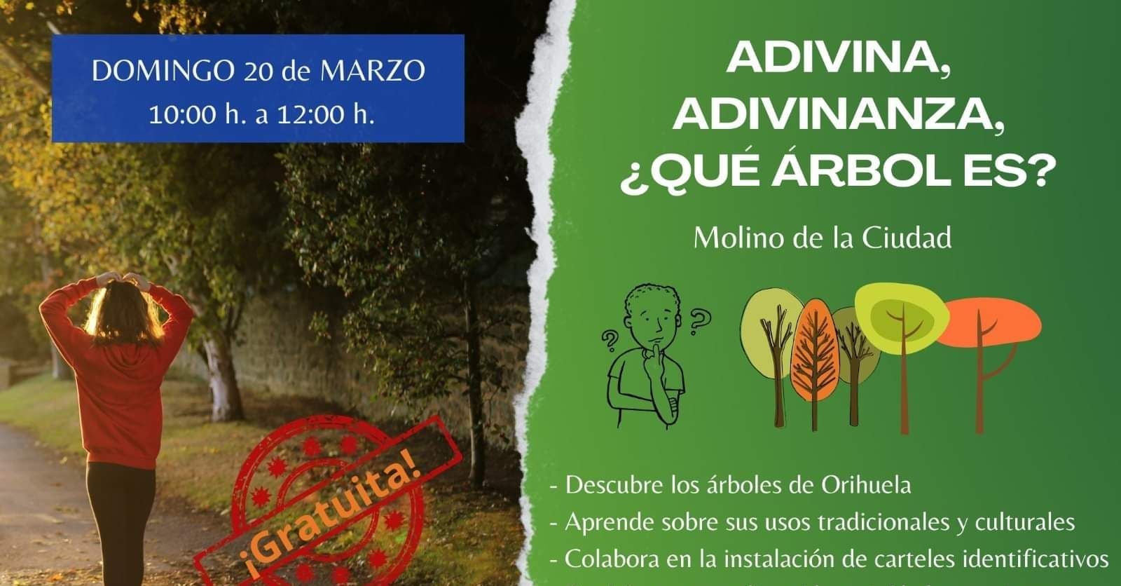 Este Domingo descubre el patrimonio arbóreo oriolano con FauNatura Este Domingo descubre el patrimonio arbóreo oriolano con FauNatura