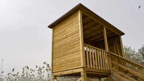 A Xunta instalará un observatorio de aves no castelo de Trasmiras A Xunta instalará un observatorio de aves no castelo de Trasmiras