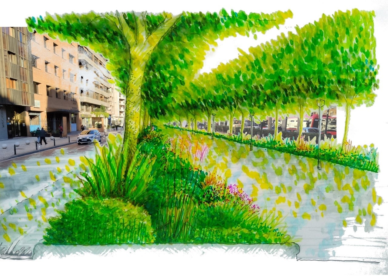 El Paseo de Sagasta contará con nueva vegetación El Paseo de Sagasta contará con nueva vegetación