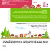 curso de experto micológico