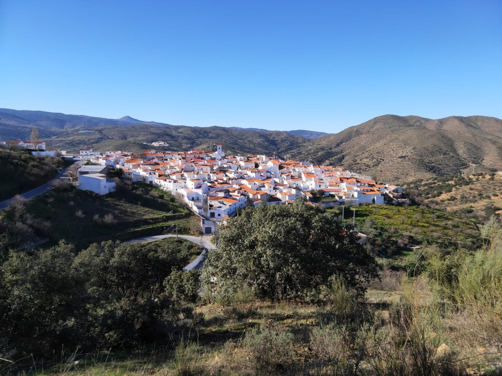 Alcudia de Monteagud abrirá el primer Museo de la Historia Ecológica y el primer Parque de Piedra Seca de Almería Alcudia de Monteagud abrirá el primer Museo de la Historia Ecológica y el primer Parque de Piedra Seca de Almería
