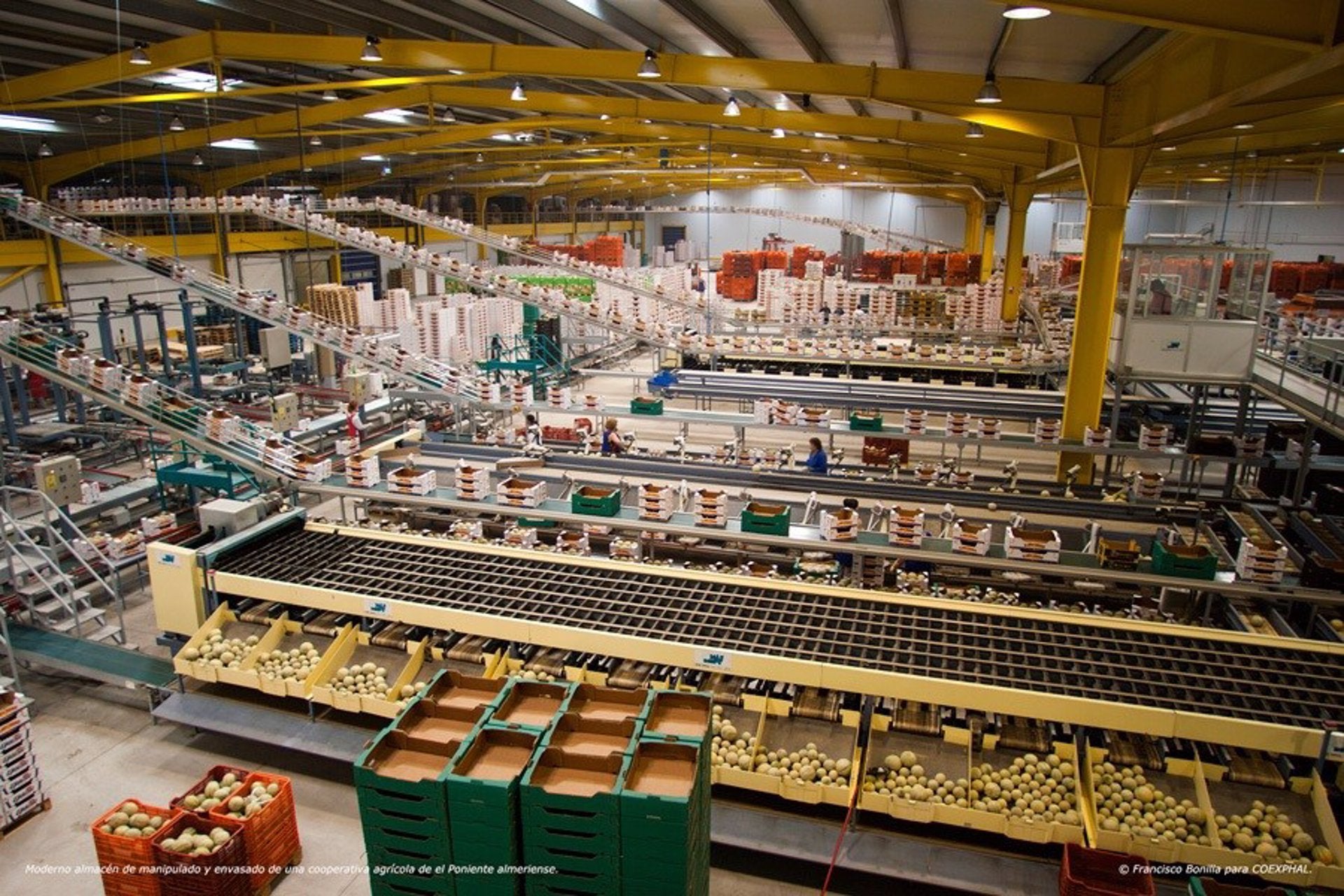 Coexphal estima 10 millones de euros de pérdidas diarias en el sector del agro por el parón de los transportistas Coexphal estima 10 millones de euros de pérdidas diarias en el sector del agro por el parón de los transportistas