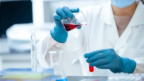 Señales del fin del mundo: Las superbacterias Pixabay