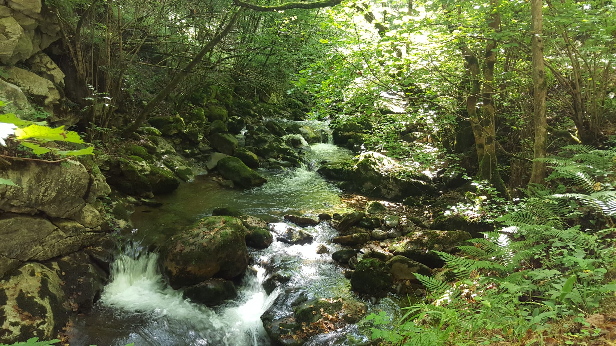 Ciudad Lineal, la creación de Arturo Soria para una capital verde Ciudad Lineal, la creación de Arturo Soria para una capital verde