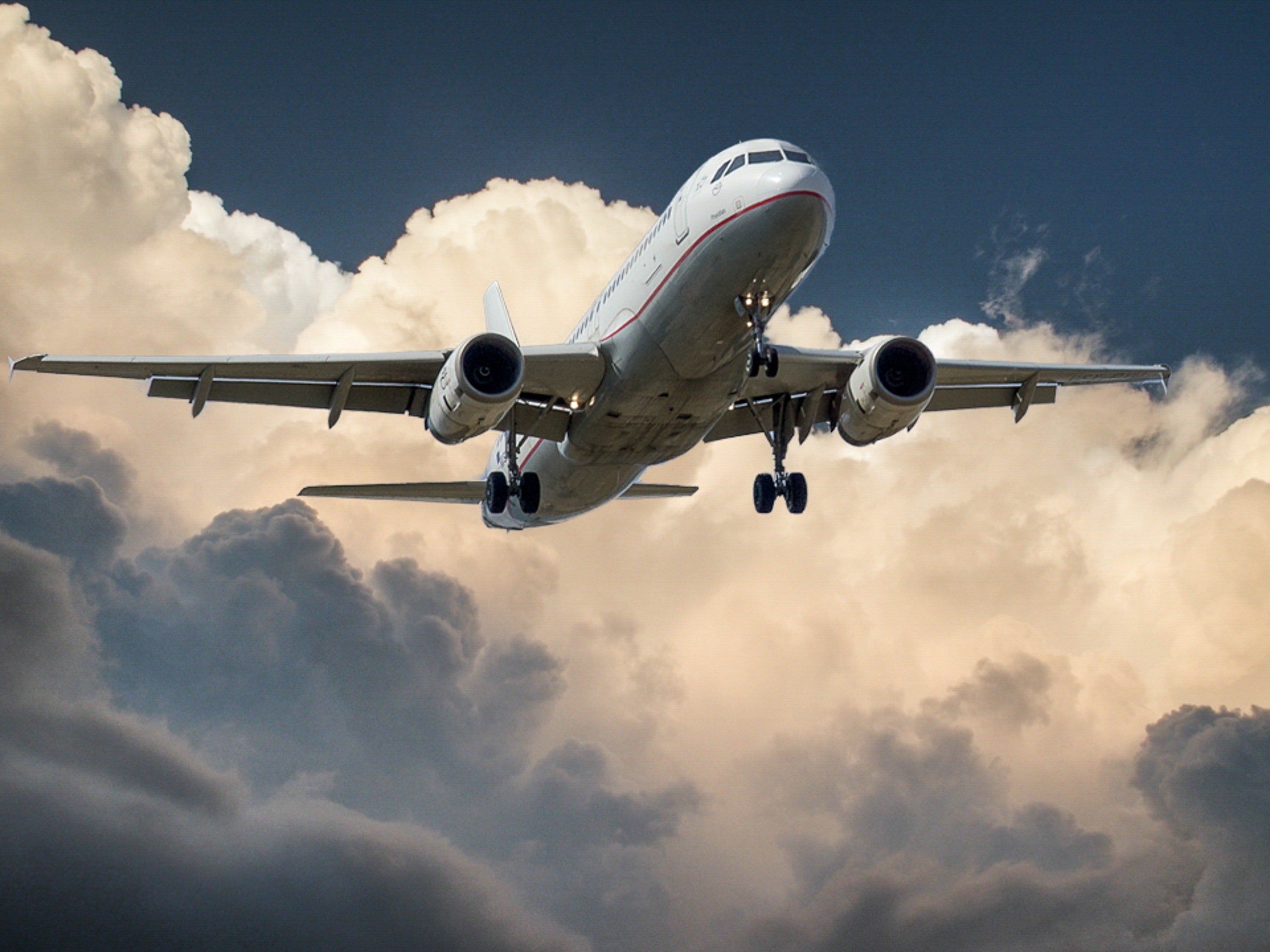 Todo lo que está prohibido llevar en el avión Todo lo que está prohibido llevar en el avión