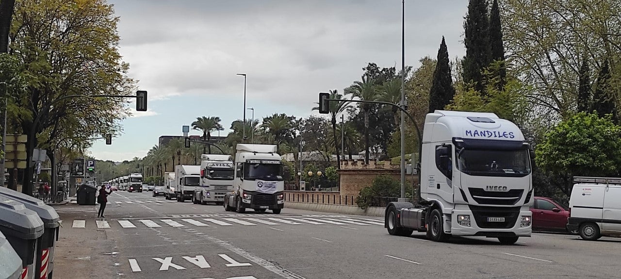 Varias federaciones del sector del transporte anuncian su propio paro tras la propuesta del Gobierno Varias federaciones del sector del transporte anuncian su propio paro tras la propuesta del Gobierno