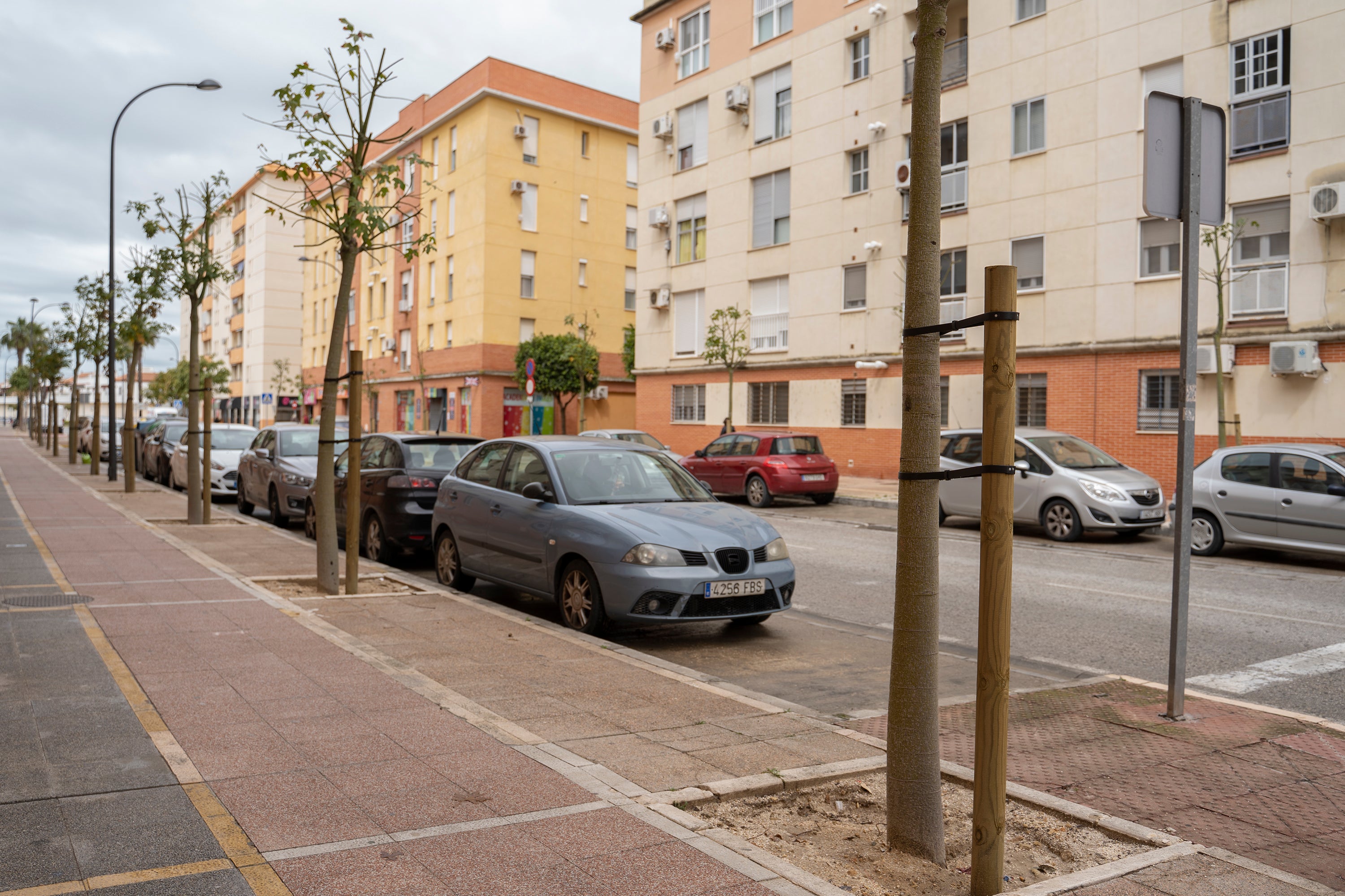 Más de 200 nuevos árboles en San Fernando en cinco meses Más de 200 nuevos árboles en San Fernando en cinco meses