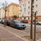 Varios de los nuevos árboles en la calle Mineras