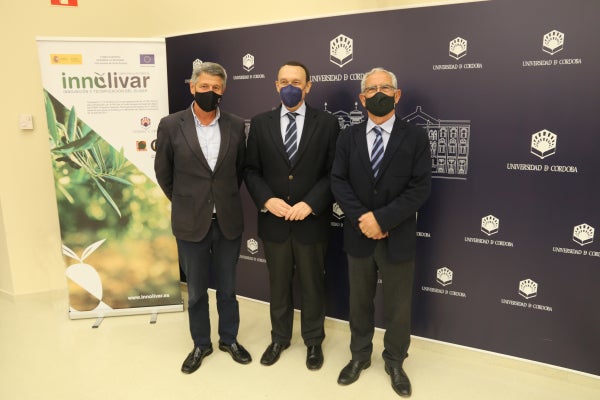 El proyecto de Innolivar El proyecto de Innolivar