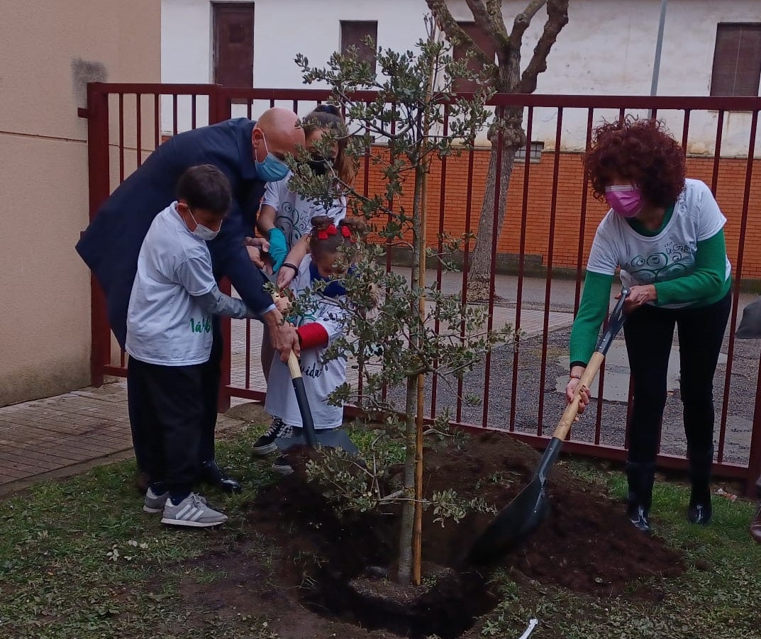 Los escolares del centro de La Granja celebran el Dia del Árbol Los escolares del centro de La Granja celebran el Dia del Árbol