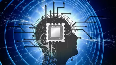 Fronteras del futuro: El lenguaje de los animales con un chip Pixabay